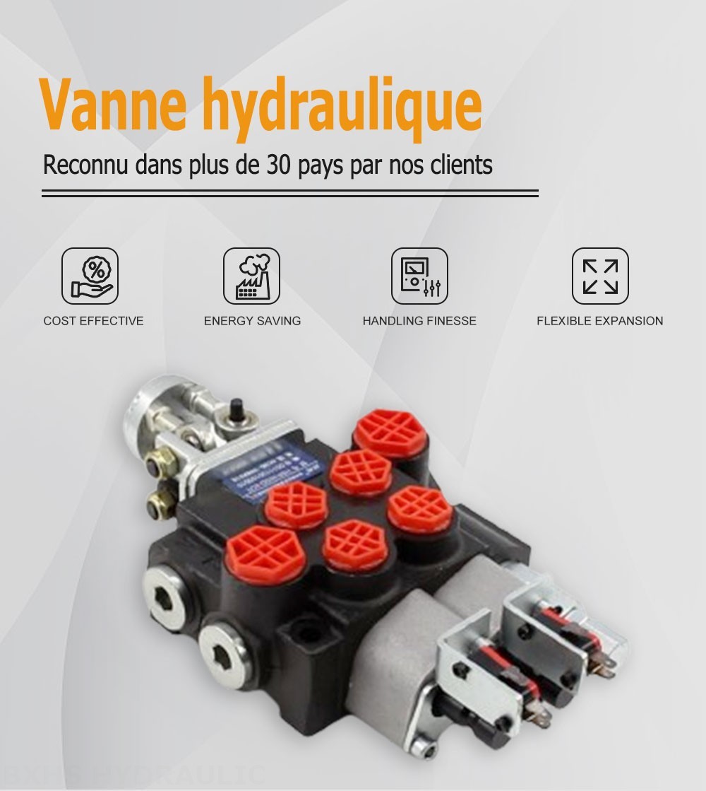 P40 Micro Switch Manette 2 distributeurs Distributeur directionnel monobloc